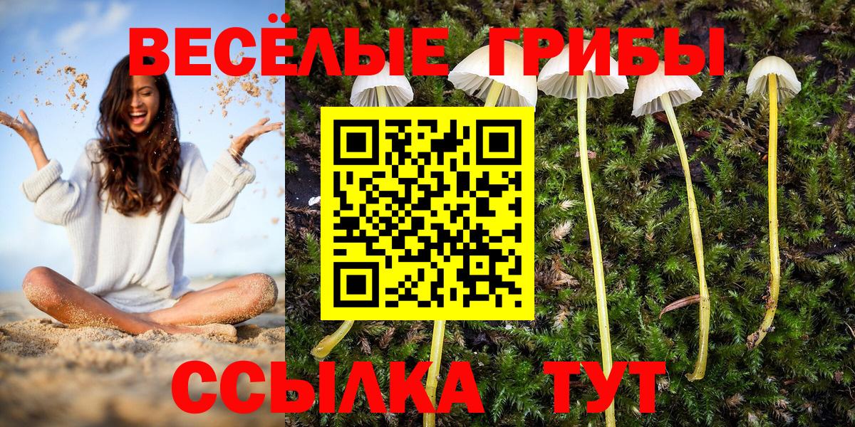 Псилоцибиновые грибы Psilocybine cubensis Ливны