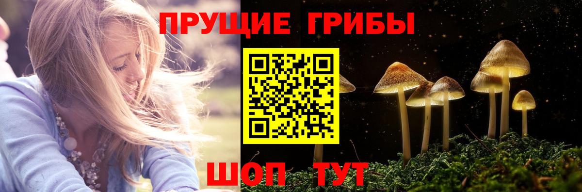 Галлюциногенные грибы Psilocybe  Псилоцибиновые грибы ЛСД  Ливны  Вход с VPN 